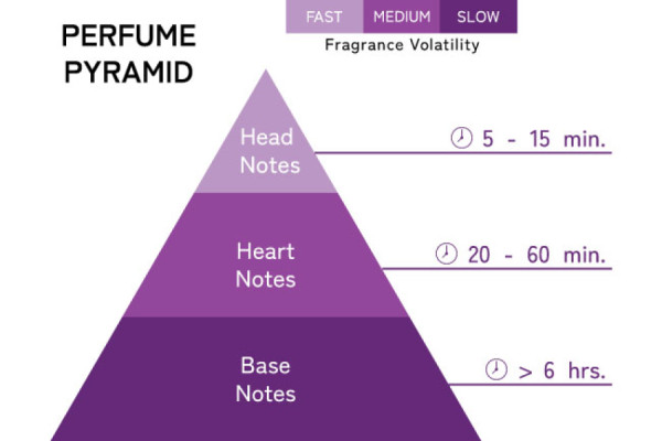 Decoding the Perfume Pyramid: Top, Heart & Base Notes Explained | Brouj Perfumes